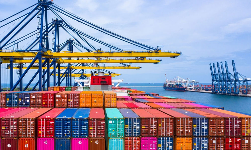 Box Brasil O que significa Lorem